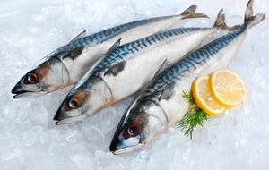 Peixaria