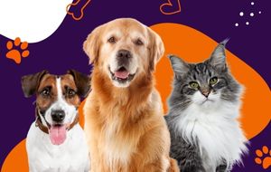 Pet shop