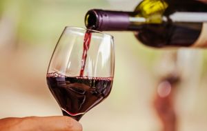 Vinho